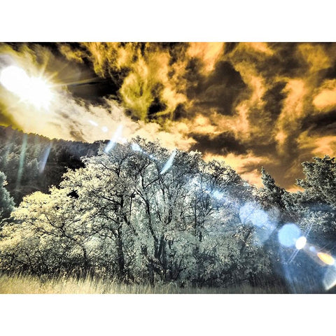 USA-Utah-Infrared of the Logan Pass area and lone tree Black Modern Wood Framed Art Print with Double Matting by Eggers, Terry