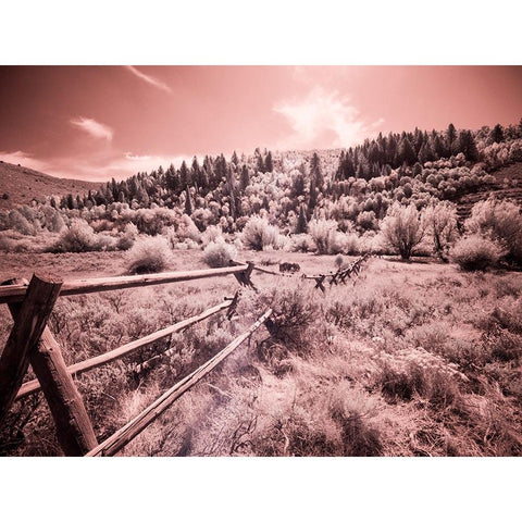 USA-Utah-Infrared of the Logan Pass area with long rail fence Black Modern Wood Framed Art Print by Eggers, Terry