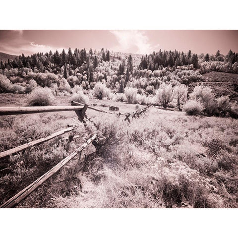 USA-Utah-Infrared of the Logan Pass area with long rail fence Black Modern Wood Framed Art Print by Eggers, Terry
