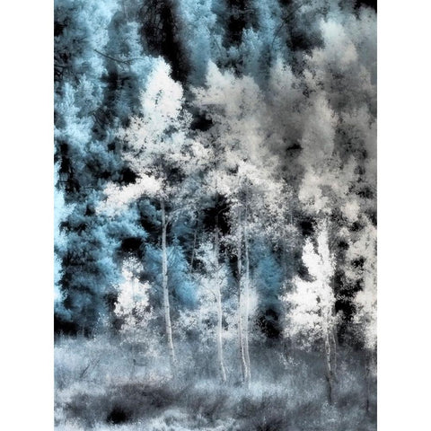 USA-Utah-Aspen Grove in infrared of the Logan Pass area Black Modern Wood Framed Art Print by Eggers, Terry