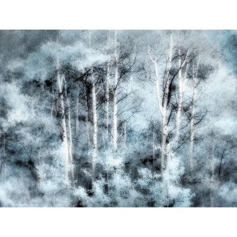 USA-Utah-Aspen Grove in infrared of the Logan Pass area Black Modern Wood Framed Art Print with Double Matting by Eggers, Terry