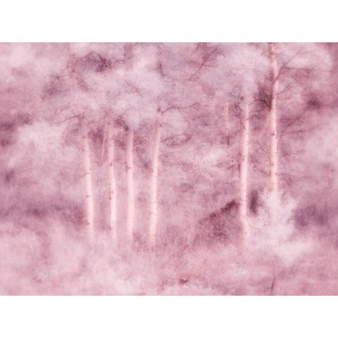 USA-Utah-Aspen Grove in infrared of the Logan Pass area Black Modern Wood Framed Art Print by Eggers, Terry