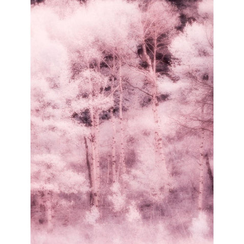 USA-Utah-Aspen Grove in infrared of the Logan Pass area Gold Ornate Wood Framed Art Print with Double Matting by Eggers, Terry