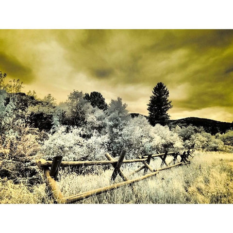 USA-Utah-Infrared of the Logan Pass area with split rai fence Black Modern Wood Framed Art Print with Double Matting by Eggers, Terry