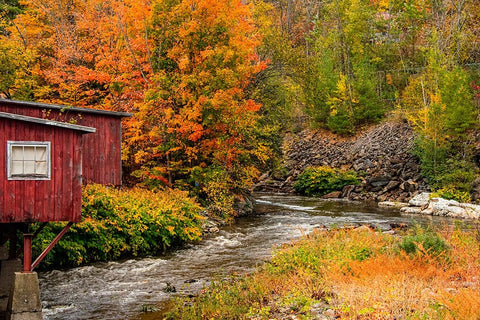 USA-Vermont-Stowe-red mill on Little River as it flows south of Stowe to Winooski River-fall foliage Black Ornate Wood Framed Art Print with Double Matting by Jones, Allison