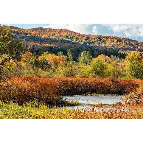 USA-Vermont-Stowe Fall foliage along Little River Gold Ornate Wood Framed Art Print with Double Matting by Jones, Allison