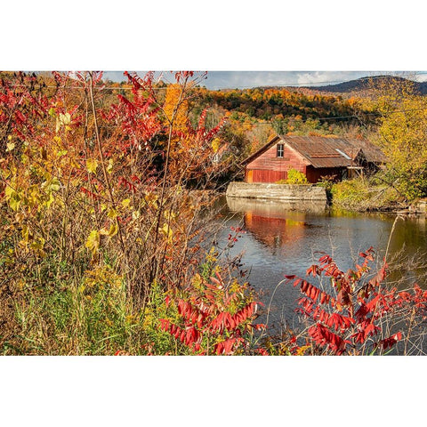 USA-Vermont-Moscow-mill on Little River pond there-fall foliage Black Modern Wood Framed Art Print by Jones, Allison