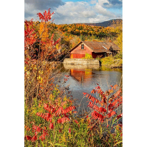 USA-Vermont-Moscow-mill on Little River pond there-fall foliage White Modern Wood Framed Art Print by Jones, Allison