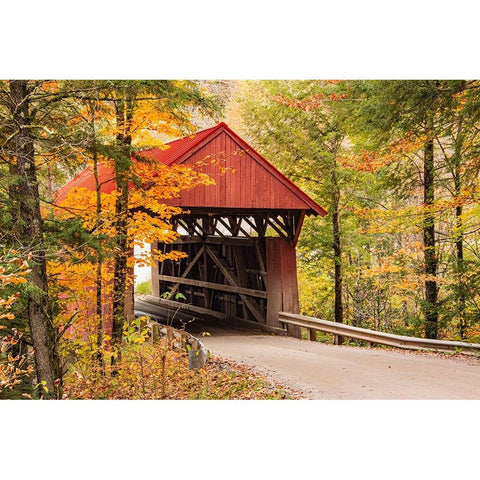 USA-Vermont-Stowe-Sterling Valley Road covered bridge in fall foliage Black Modern Wood Framed Art Print with Double Matting by Jones, Allison