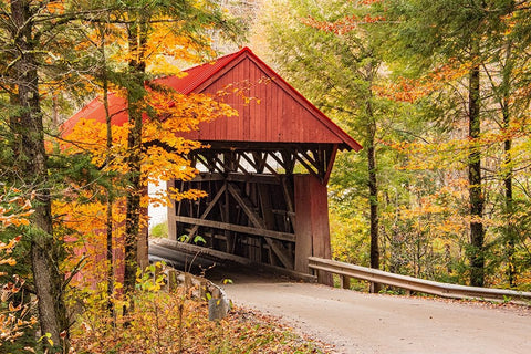 USA-Vermont-Stowe-Sterling Valley Road covered bridge in fall foliage White Modern Wood Framed Art Print with Double Matting by Jones, Allison