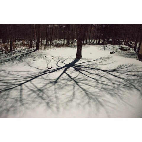 USA-Vermont-Morrisville-moon shadow of ash tree on snow-covered lawn Black Modern Wood Framed Art Print by Jones, Allison