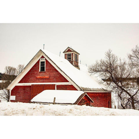 USA-Vermont-Cambridge-Lower Pleasant Valley Road-red barn in snow Black Modern Wood Framed Art Print by Jones, Alison