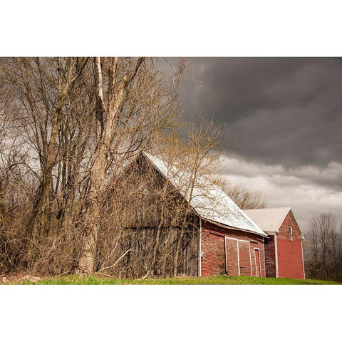 USA-Vermont-Champlain Valley-Weybridge-barn Black Modern Wood Framed Art Print by Jones, Allison