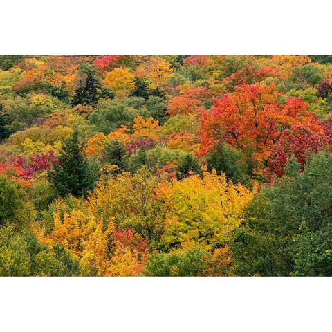USA-Vermont-New England-Stowe Mt Mansfield parking lot view Black Modern Wood Framed Art Print with Double Matting by Jones, Allison