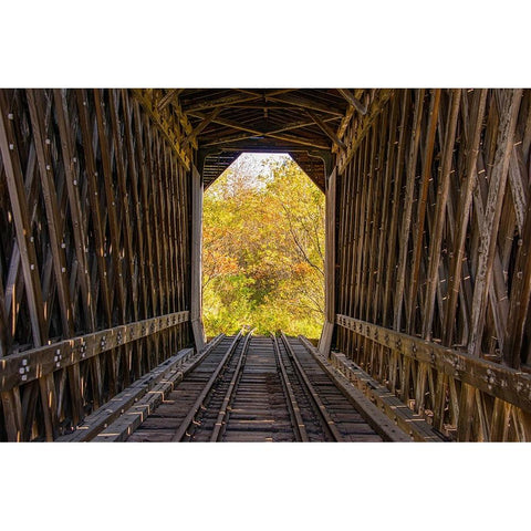 USA-Vermont-Fall foliage seen off Rt 15-Wolcott-Fisher Covered Railroad Bridge (1908) Black Modern Wood Framed Art Print by Jones, Allison