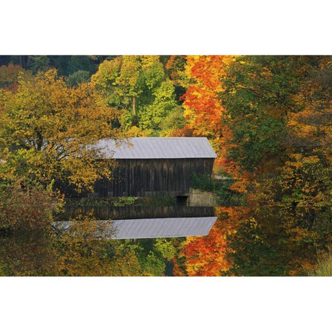 Vermont Covered bridge and autumn reflections Black Modern Wood Framed Art Print by Rotenberg, Nancy