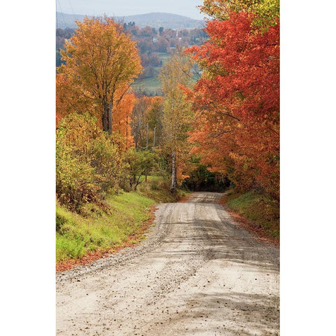 USA-New England-Vermont tree-lined roadway in Autumns Fall colors White Modern Wood Framed Art Print by Gulin, Sylvia
