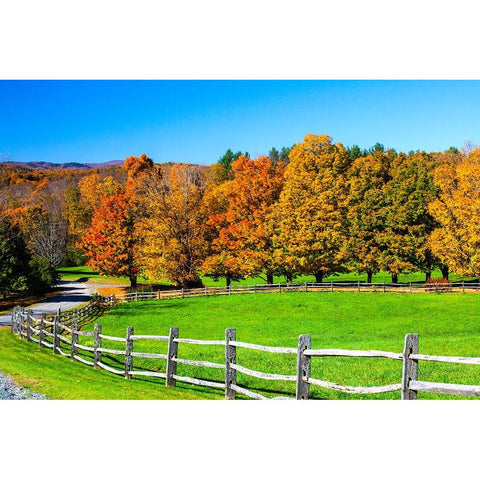 USA-New England-Vermont countryside with curved gravel road fence in Autumn White Modern Wood Framed Art Print by Gulin, Sylvia