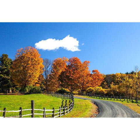 USA-New England-Vermont countryside with curved gravel road fence in Autumn Gold Ornate Wood Framed Art Print with Double Matting by Gulin, Sylvia