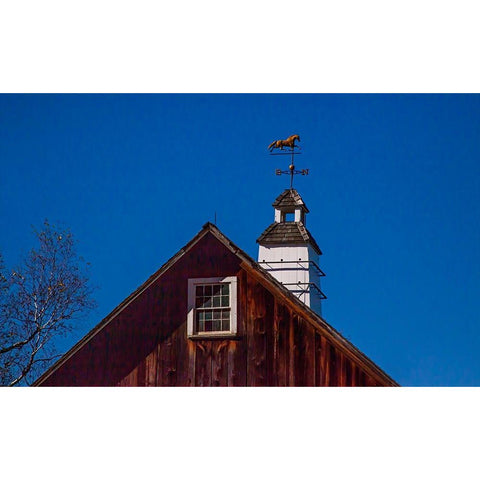 USA-New England-Vermont weather vane on top of wooden barn topped with horse White Modern Wood Framed Art Print by Gulin, Sylvia