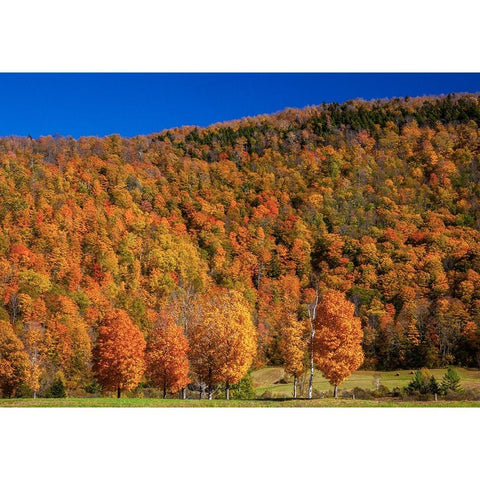 USA-New England-Vermont Black Modern Wood Framed Art Print by Gulin, Sylvia