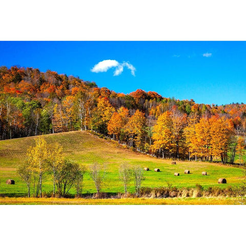 USA-New England-Vermont Black Modern Wood Framed Art Print by Gulin, Sylvia