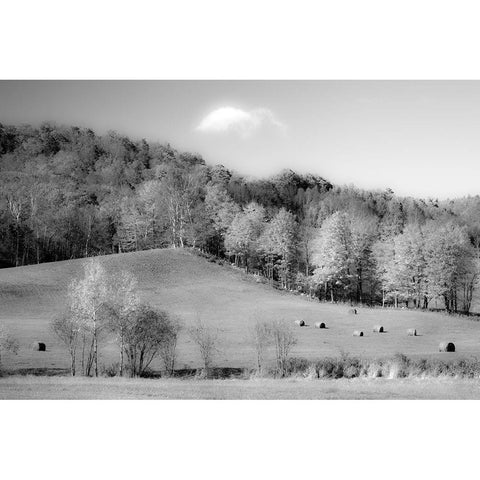 USA-New England-Vermont Black Modern Wood Framed Art Print with Double Matting by Gulin, Sylvia