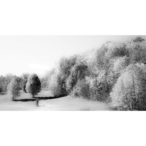 USA-New England-Vermont Black Modern Wood Framed Art Print with Double Matting by Gulin, Sylvia