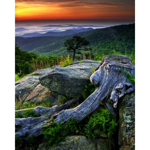 VA, Shenandoah NP Overlook from Skyline Drive White Modern Wood Framed Art Print by OBrien, Jay