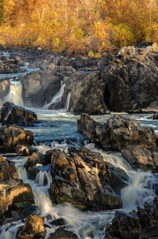 Virginia, Great Falls Rapids on Potomac River Black Ornate Wood Framed Art Print with Double Matting by OBrien, Jay