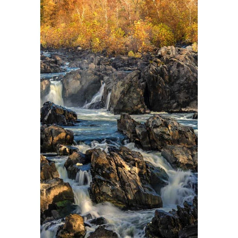 Virginia, Great Falls Rapids on Potomac River Black Modern Wood Framed Art Print by OBrien, Jay