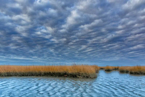 Virginia Cloudy scenic on Chincoteague Island Black Ornate Wood Framed Art Print with Double Matting by OBrien, Jay
