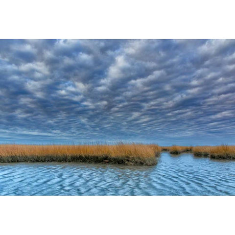 Virginia Cloudy scenic on Chincoteague Island Black Modern Wood Framed Art Print by OBrien, Jay