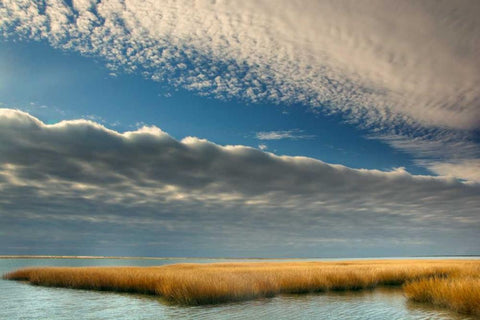 Virginia Cloudy scenic on Chincoteague Island Black Ornate Wood Framed Art Print with Double Matting by OBrien, Jay