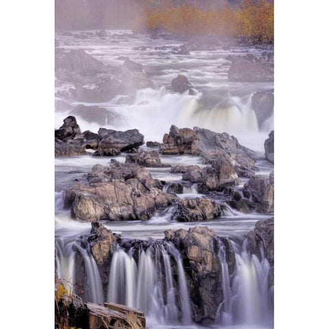Virginia, McLean Stream in Great Falls SP Black Modern Wood Framed Art Print with Double Matting by OBrien, Jay