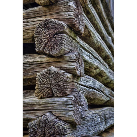 VA, Roanoke, Explore Park Detail of log cabin Black Modern Wood Framed Art Print by Paulson, Don