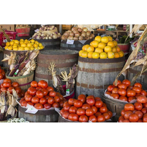Virginia, Meadows of Dan Produce in a store Black Modern Wood Framed Art Print by Paulson, Don