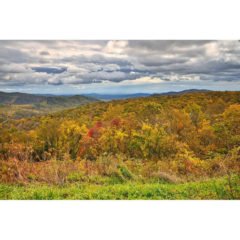 USA-Virginia-Shenandoah National Park-fall color Black Modern Wood Framed Art Print by Looney, Hollice
