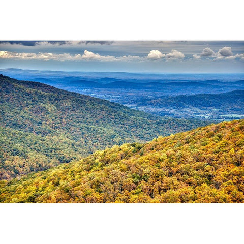 USA-Virginia-Shenandoah National Park-fall color Gold Ornate Wood Framed Art Print with Double Matting by Looney, Hollice