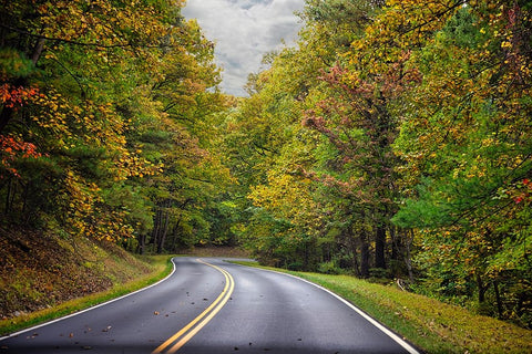 USA-Virginia-Shenandoah National Park-fall color along Skyline Drive White Modern Wood Framed Art Print with Double Matting by Looney, Hollice