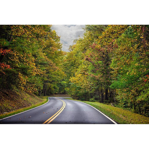 USA-Virginia-Shenandoah National Park-fall color along Skyline Drive White Modern Wood Framed Art Print by Looney, Hollice