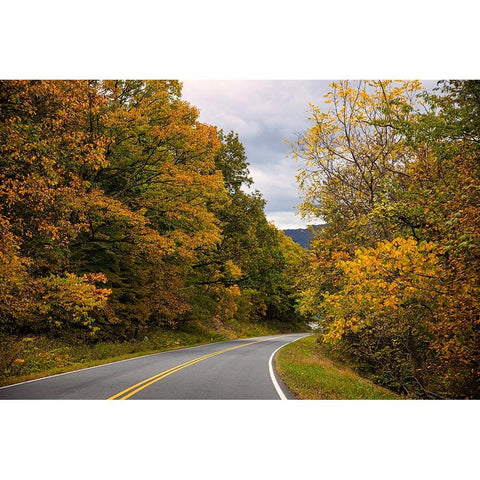 USA-Virginia-Shenandoah National Park-fall color along Skyline Drive Gold Ornate Wood Framed Art Print with Double Matting by Looney, Hollice