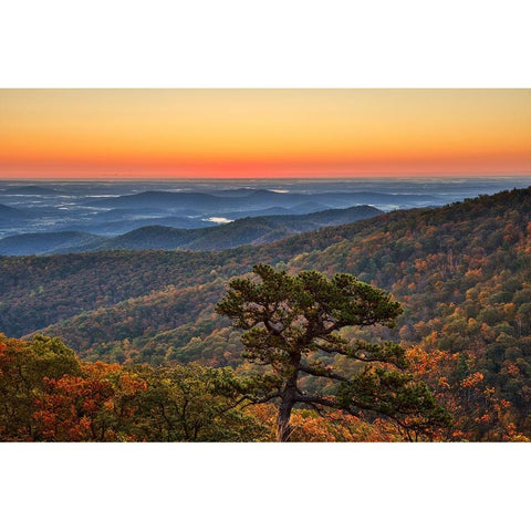USA-Virginia-Shenandoah National Park-Sunrise along Skyline Drive in the Fall White Modern Wood Framed Art Print by Looney, Hollice