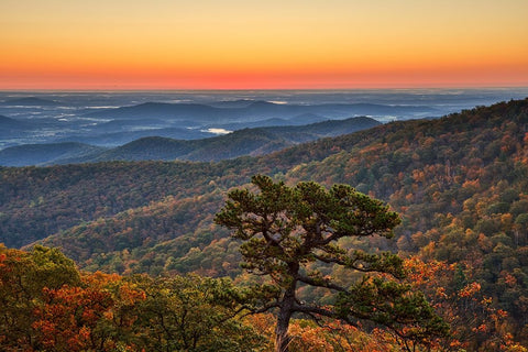 USA-Virginia-Shenandoah National Park-Sunrise along Skyline Drive in the Fall White Modern Wood Framed Art Print with Double Matting by Looney, Hollice