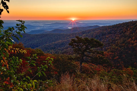 USA-Virginia-Shenandoah National Park-Sunrise along Skyline Drive in the Fall Black Ornate Wood Framed Art Print with Double Matting by Looney, Hollice