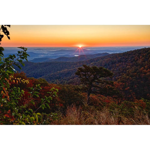 USA-Virginia-Shenandoah National Park-Sunrise along Skyline Drive in the Fall Black Modern Wood Framed Art Print by Looney, Hollice