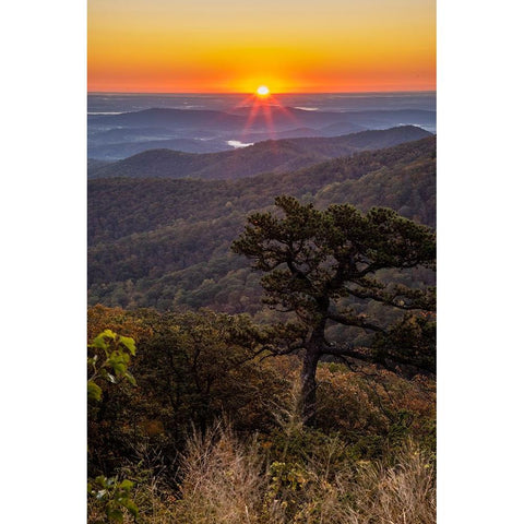 USA-Virginia-Shenandoah National Park-Sunrise along Skyline Drive in the Fall Black Modern Wood Framed Art Print with Double Matting by Looney, Hollice