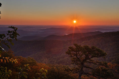 USA-Virginia-Shenandoah National Park-Sunrise along Skyline Drive in the Fall Black Ornate Wood Framed Art Print with Double Matting by Looney, Hollice