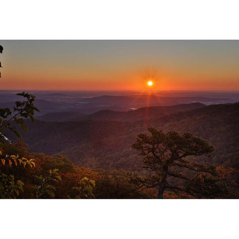 USA-Virginia-Shenandoah National Park-Sunrise along Skyline Drive in the Fall Black Modern Wood Framed Art Print by Looney, Hollice
