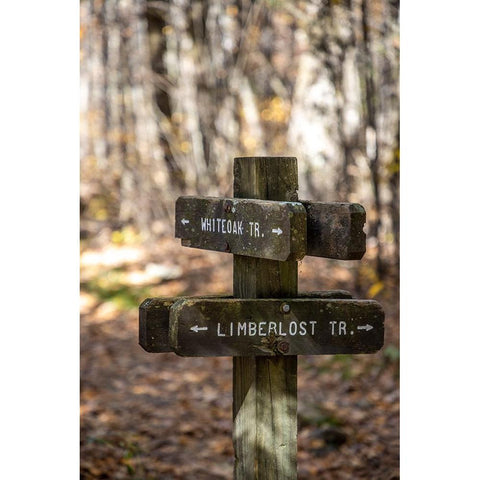 USA-Virginia-Shenandoah National Park-Wooden trail marker for the White Oak Trail and Limberlost Tr Gold Ornate Wood Framed Art Print with Double Matting by Looney, Hollice